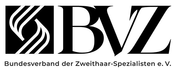 BVZ Logo BVZ Logo